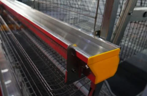 Close-up view  of empty caged rearing equipment in Chicken Farm. Stock Photos
