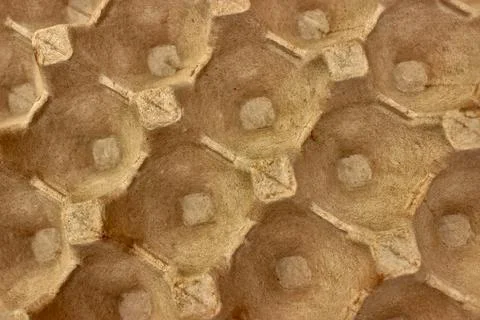 A close-up view of an empty egg carton made from recycled paper. Stock Photos