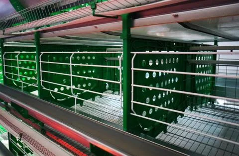 Close-up view of empty metal mesh caged equipment in poultry farm Foto stock