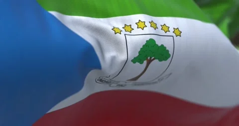 Close-up view of Equatorial Guinea national flag waving in the wind. Stock Footage 219484600