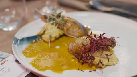 Close up view an exclusive dish from the chef Video stock 260317100