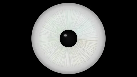 Close view of an eye with a black pupil and radial lines Stock Footage 337233932