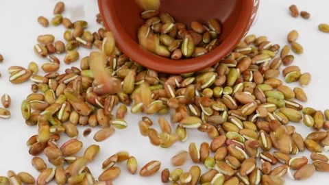 Close view of falling beans seeds over white surface Видео 159638159