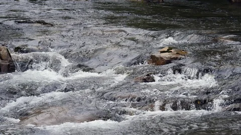 Close view of fast flowing water on the River Conwy Wales Stock Footage 93799951