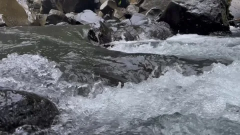 Close-Up View of a Fast-Moving River Cascading Over Dark Rocks in a Lush Fo.. Stock Footage 296781308