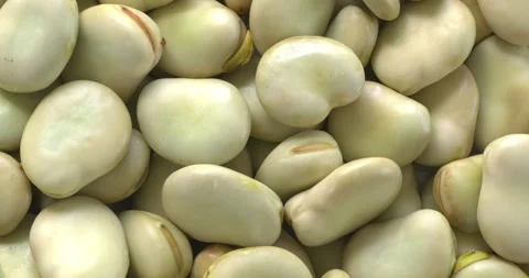 Close-up view of fava beans with a second skin. Stock Footage 313836519