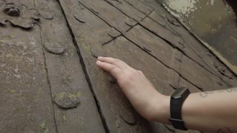 Close up view female hand touching an ancient gate. Rusted metal texture. Slow m Видео 145991836