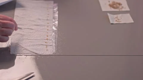 Close up view of female hands preparing seeds for planting. Stock Footage 251812047