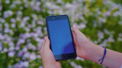 Close up view of female hands vertically holding blank screen phone on Stock Footage 113045285