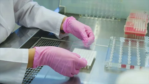 Close-up view of female scientist coves microtiter plate with transparent film Stock Footage 103700879