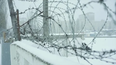 Close-up view of a fence with barbed wire insulator, during a snowfall in winter Stock-Footage 148325140