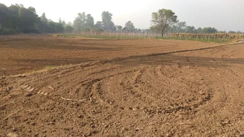 Close up view of field. Video stock 142949793