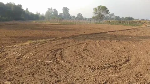 Close up view of field. Video stock 143257948