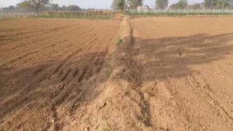 Close up view of field. Stock Footage 143257957