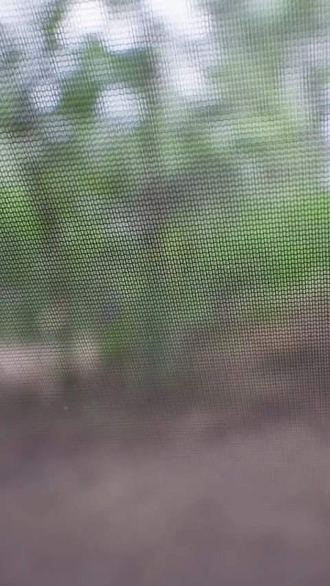 Close Up View of Fine Mesh Screen Over Blurred Green Forest Background Stock Footage 341992052