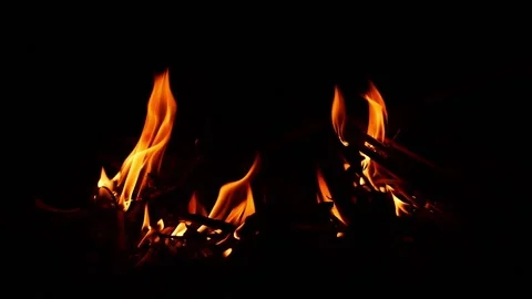 Close-up view of fire flames, Burning woods fire flames close view Video stock 148209080