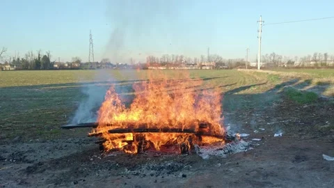 Close Up View Fire Wood at Field with Blue Sky on Background Stock Footage 143655998