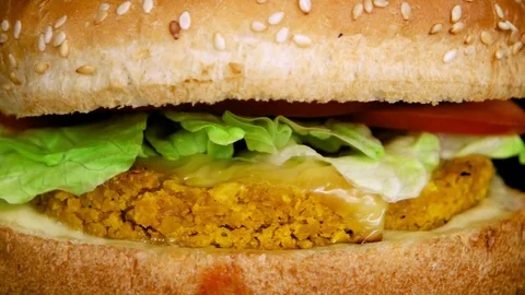 Close-up view of Fish Burger, loop Stock Footage 75253928
