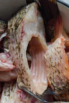 Close view of fish pieces placed in a bowl on a kitchen counter. These pieces Stock Photos