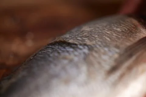 Close-up view of fish scales texture Stock Photos