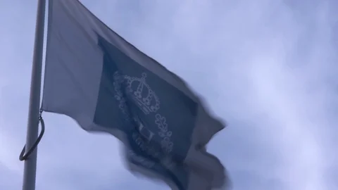 Close up view of the flag of the KTH Royal Institute of Technology flying Vídeos de archivo 100523541