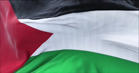Close up view of the flag of Palestine waving in the wind Stock Footage 154279437
