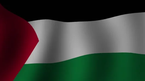 Close up view of the flag of Palestine waving in the wind. Stock Footage 254398793