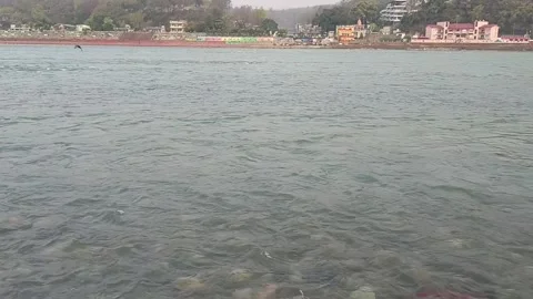 A close-up view of flow of water in River Ganga in Rishikesh in early morning 库存影片 333371120