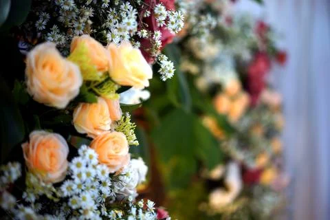 Close-up View of Flowers Background Stock Photos