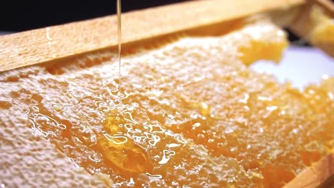 Close up view of flowing honey macro on white background. Stock Footage 253060590