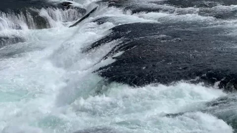 Close-up View of the Flowing Rheinfall Waterfalls Switzerland Stock Footage 214220195