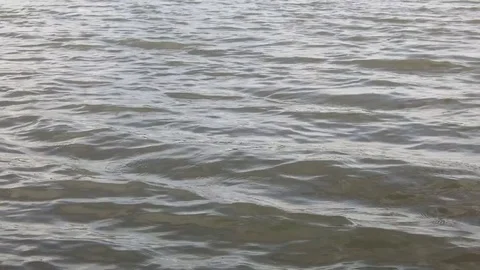 Close view of flowing water in river Stock Footage 81579927