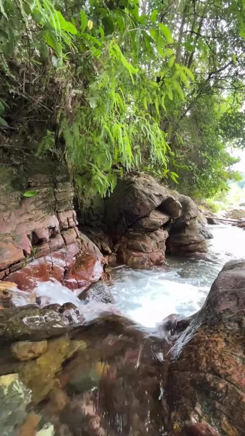 Close-up View of Flowing Water Stream Over Rocks Stock Footage 342267550