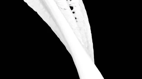 Close-up view of flowing white paint, alpha channel included (FULL HD) Stockbeeldmateriaal 39977553