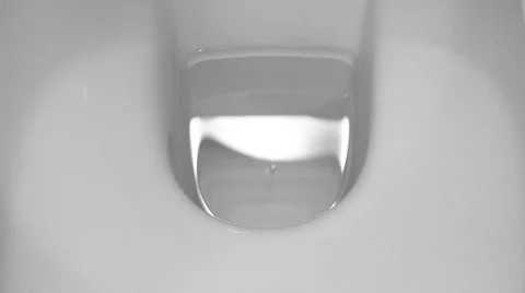 Close-up View of Flushing a Toilet Stock Footage 54897573