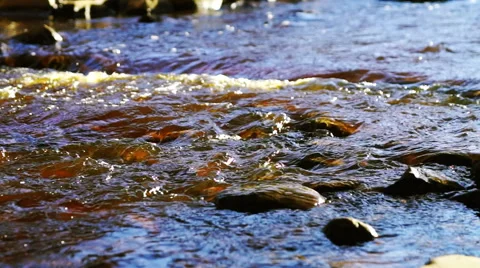 Close up view at forest river with splashes Stock Footage 40809720
