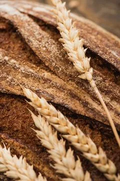 Close view fresh baked bread Stock Photos