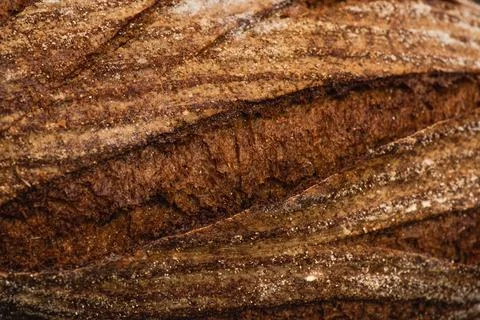 Close view fresh baked bread Stock Photos