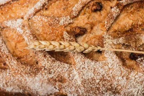 Close view fresh baked bread Stock Photos