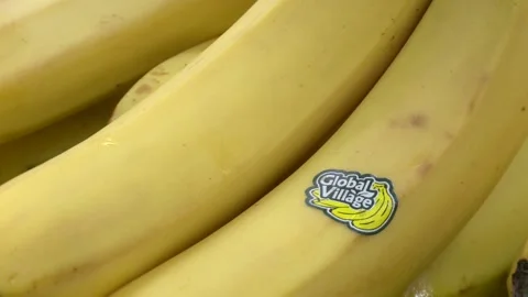 Close up view of fresh bananas. Stock Footage 196463278