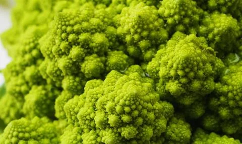 Close up view of fresh broccoli Stock Photos