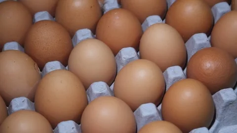 Close up View of Fresh Brown Eggs Neatly Arranged in a Cardboard Carton Stock Footage 327994773