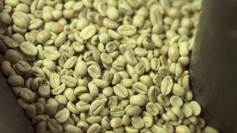 Close-up view of fresh coffee beans inside working equipment before roasting in Stock Footage 163817608