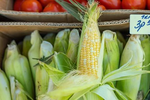 Close-up view of fresh corn cobs and onions at a farmers market, showcasing.. Stock Photos