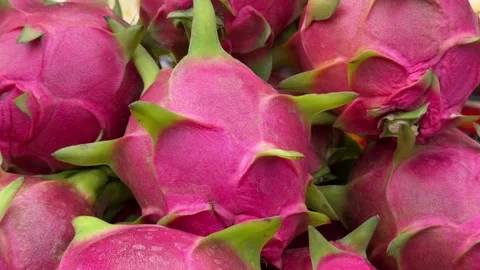 Close view of fresh dragon fruit tightly packed inside a container, showing 库存影片 330062018