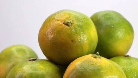 A Close-Up View Of Fresh Green And Yellow Unripe Tangerines Isolated On A White  Stock Footage 322587691