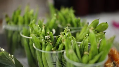 Close-up view of fresh green snap pea pods standing upright in clear plastic Stock Footage 326064787