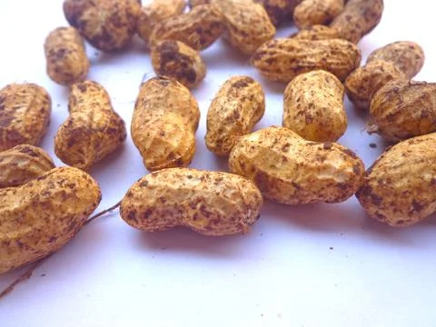 A close-up view of fresh Peanuts Stock Photos