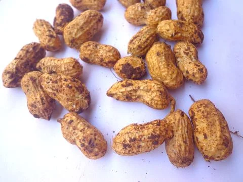 A close-up view of fresh Peanuts Photos