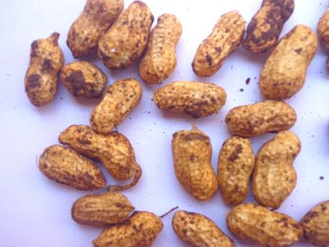 A close-up view of fresh Peanuts Photos